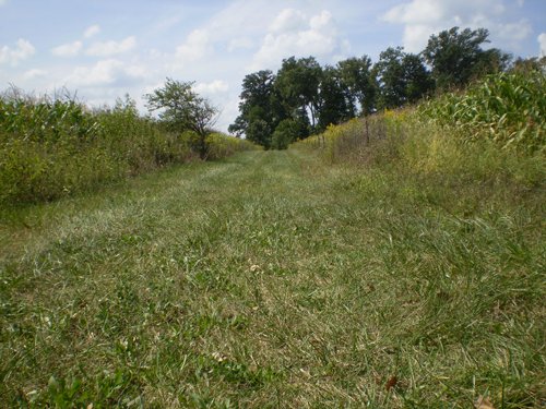 Property photo 17 - 40 Acres in 4 Tracts - Great Location!